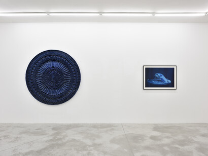 credit photo: Rebecca Fanuele
courtesy: Levi Van Veluw & Praz-Delavallade Paris, Los Angeles