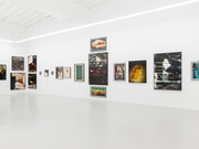 The garden, installation view. ©Harley Weir. Courtesy the artist and Hannah Barry Gallery, London, UK. Photography by ©Damian Griffiths