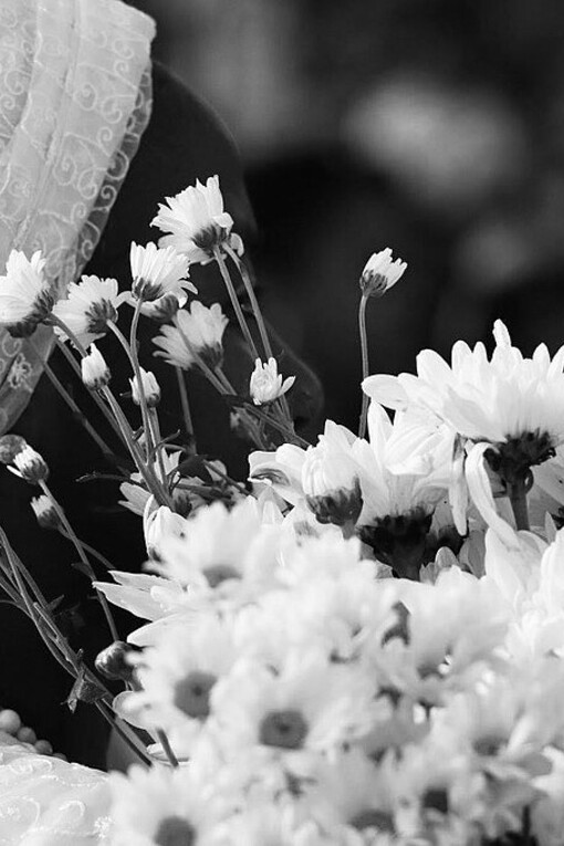 Fotografia scattata nel 2016 durante il tradizionale evento religioso “Águas de Oxalá”. L'evento è caratterizzato dal lavaggio del sagrato della chiesa di Bonfim, aprendo così la strada al carnevale storico e culturale della città di Olinda, situata in Pernambuco. La celebrazione tradizionale intende aprire i sentieri con l'axé dell'orixá Oxalá, lavando le strade con l'augurio di un carnevale di pace e tranquillità per i festaioli di tutto il mondo che vengono a partecipare alla festa del Momo nella storica città di Olinda. Foto di Úrsula Freire