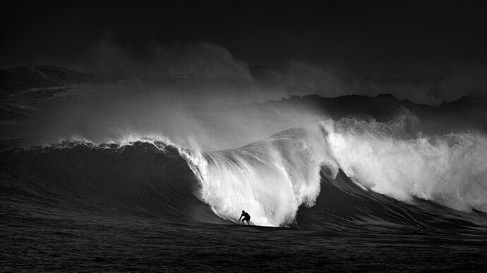 Ed Freeman, Surf