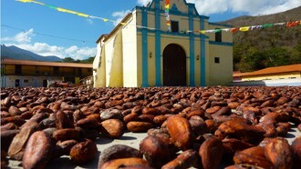 Semillas de cacao ante la iglesia de Chuao