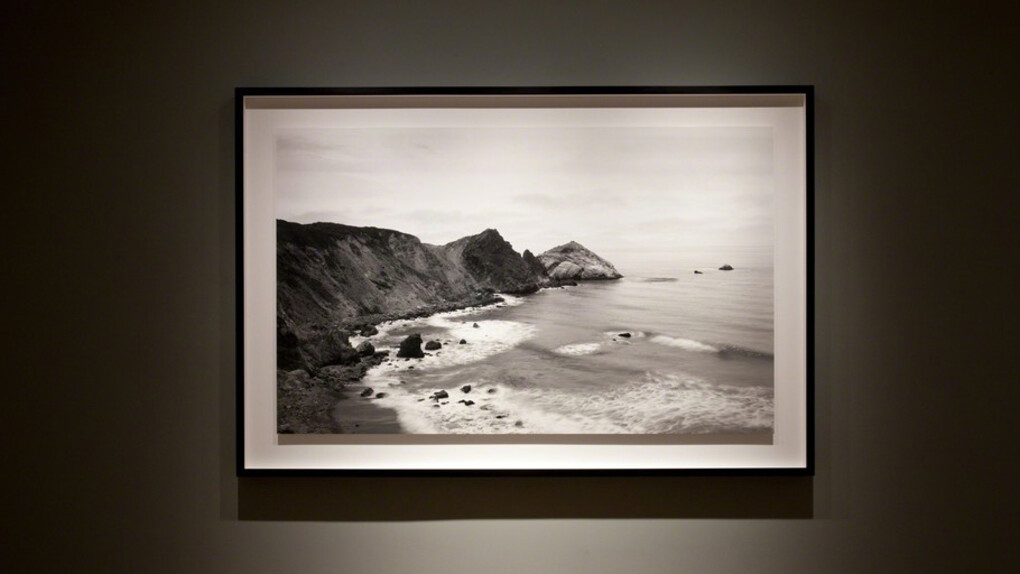 Richard Learoyd. Courtesy of Fraenkel Gallery 