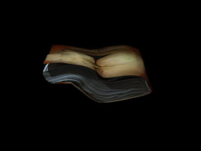 Richard Finkelstein. Courtesy of Robert Mann Gallery