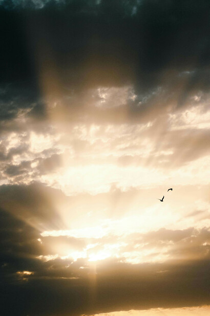 Cielo. All’improvviso il cielo venne squarciato da un lampo accecante mentre, quasi simultaneamente, si udì un tuono assordante