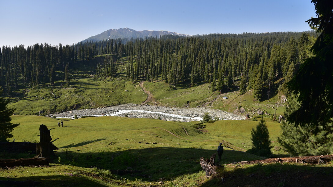 Sukhnag river emerting from Tosamaidan landscape @ Ashish Kothari
