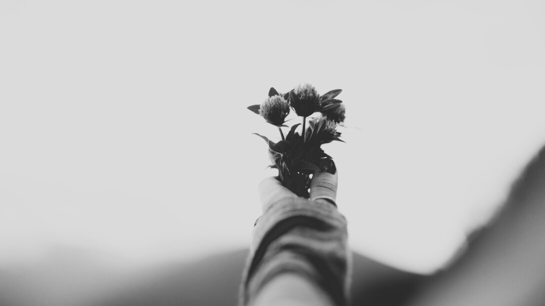 La flor que crece en el poema