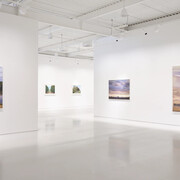 Dick Frizzell, The weight of the world, exhibition view. Courtesy of Gow Langsford Gallery