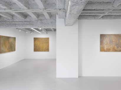 Diana Cepleanu, exhibition view. Courtesy of Galeria Plan B
