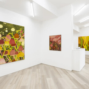 Lucy Mahon, To the moon and back, exhibition view. Courtesy of Beers London