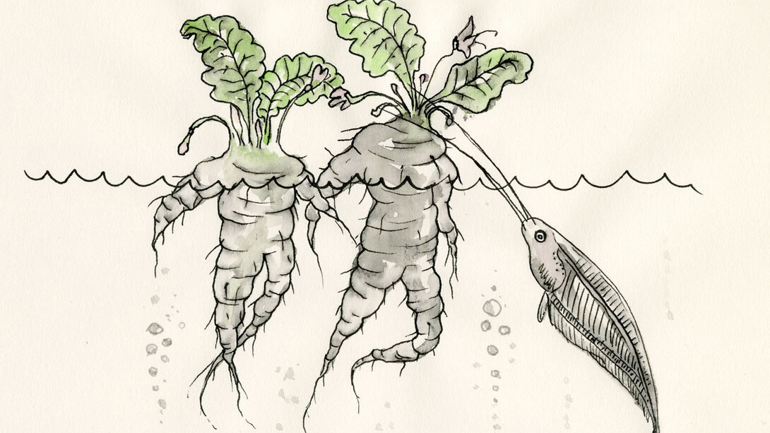 Art Experiment: Laboratories of Earthly Survival. Courtesy of Garage Museum of Contemporary Art