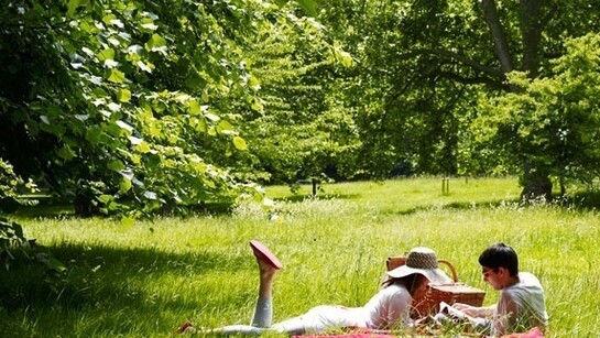 Picnic in June
