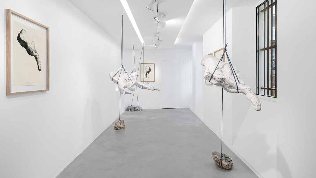 Capucine Vever, Where dragons collapse (Là où s’effondrent les dragons), exhibition view. Courtesy of Galerie Eric Mouchet