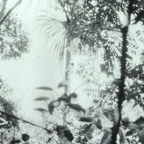 Luzia Simons. Courtesy of Circle Culture Gallery