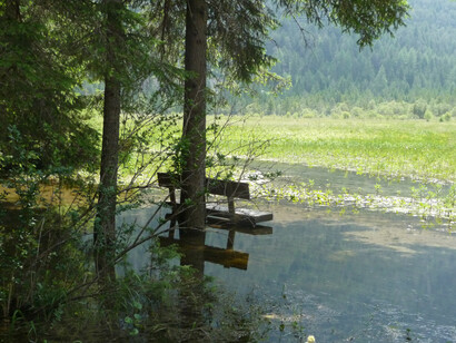 Lago di Dobbiaco. Foto di  Simonetta Sandri