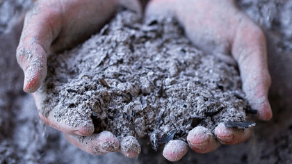 Manos recogiendo cenizas: la última vez que supe de Osvaldo, lo vi como siempre