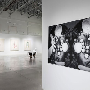 Stanley Février, Terre des fissures, exhibition view. Courtesy of Blouin Division