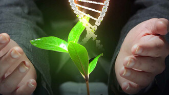 Alimentazione naturale e DNA