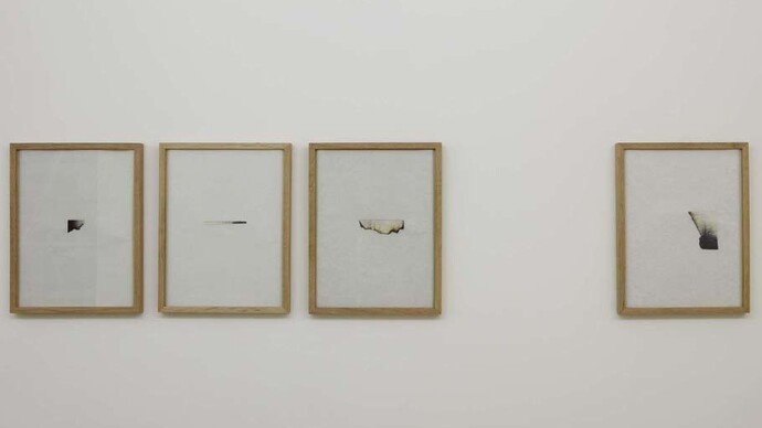 Sophie Ko Chkheidze, Waldgänger, 2013