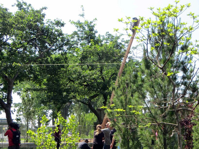 Rice native gardens, exhibition view. Courtesy of Field Museum