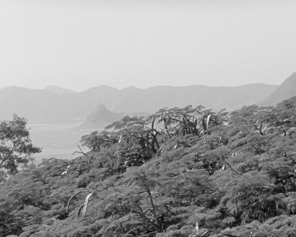 Tamar Guimaraes and Kasper Akhøj, Captain Gervasio's Family (film still), 2013-14 © Tamar Guimaraes and Kasper Akhøj, Courtesy of the artists and Fortes D’Aloia & Gabriel, São Paulo, and Ellen De Bruijne Projects, Amsterdam