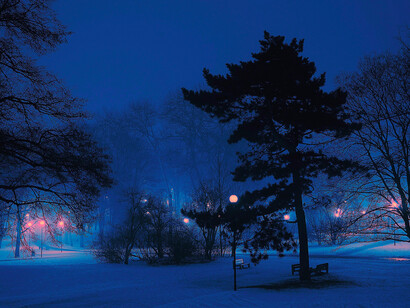 La noche reclama para sí toda luz y su tiniebla reclama ojos para que veamos sus pobladores nocturnos