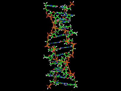 DNA. Non essendo riusciti a costruire delle macchine straordinarie come noi, abbiamo deciso di diventare noi più simili alle macchine per farci governare da loro