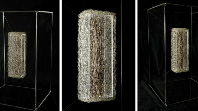 Isabel Consigliere. Courtesy of Luisa Catucci Gallery