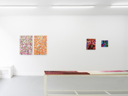 Lisette de Greeuw and Aysen Kaptanoglu, What grows unseen, exhibition view. Courtesy of Josilda da Conceição