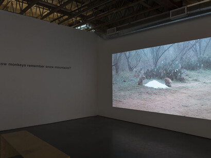 The Sorcerer’s Burden. Courtesy of The Contemporary Austin