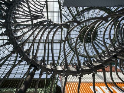 Huang Yong Ping. Empires. Grand Palais, París