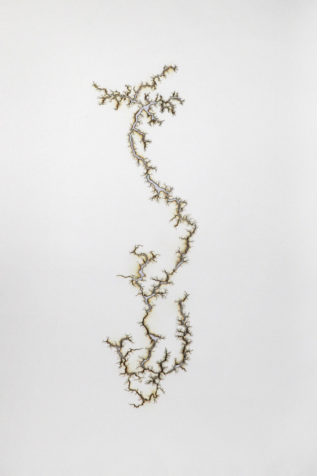 Troika, Path of Least Resistance, 2013, Electrical charge on paper, 185 x 111.5 cm, image Courtesy of the Artist and Hanmi Gallery