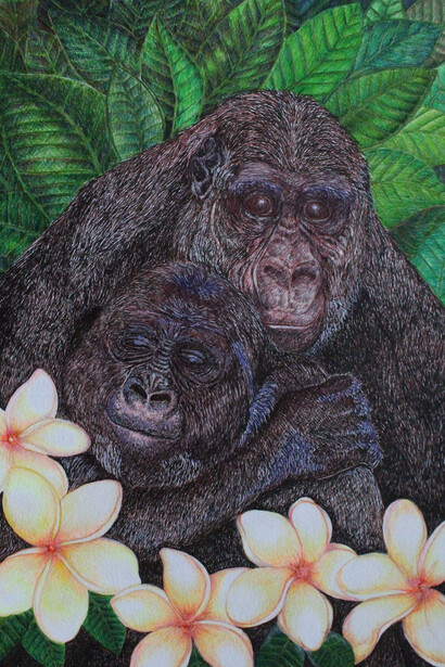 Viviana Cazzato, Gorilla 42x29,7, penne rollerball multicolor su carta canson,  300 g, 2021