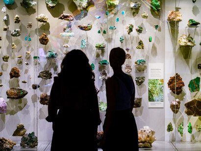 Origins, exhibition view. Courtesy of Western Australian Museum