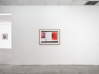 Juliana Halpert and Parker Ito, Au Jus, 2023, installation view, photo by Paul Salveson. Courtesy of Bel Ami Gallery