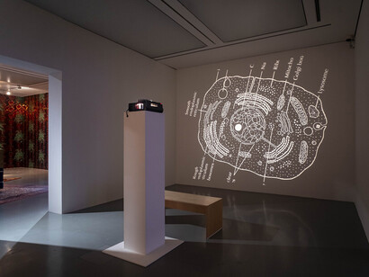 Cauleen Smith, The volcano manifesto, exhibition view. Courtesy of Kestner Gesellschaft