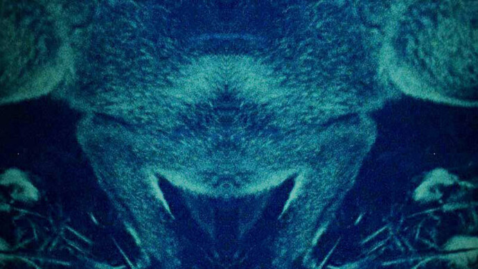 Carolina Charry & Savia Solaris. Courtesy of Museo La Tertulia