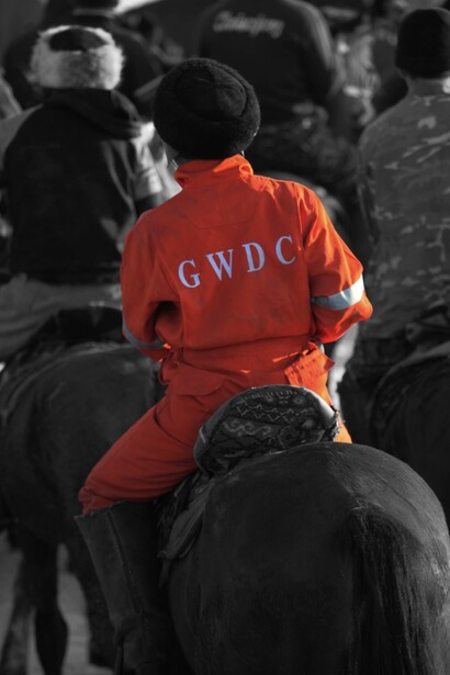 A steppe wolf, 105x70 in 