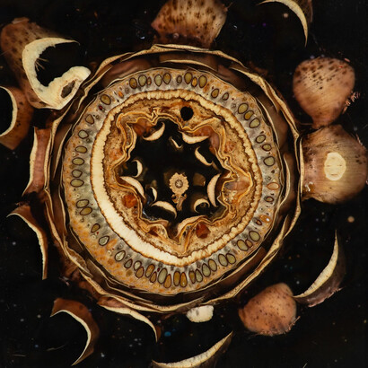 Mayme Kratz, Night study 33, 2024. Courtesy of Lisa Sette Gallery