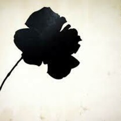 «Rosa negra» (1966), Jannis Kounellis