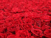 Avery, Froment, Gallaccio, Hiorns, Empire, Sedira. Courtesy of National Galleries of Scotland