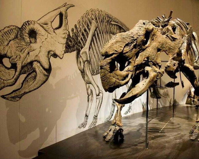 Dinosaur Hall. Courtesy of Royal Tyrrell Museum