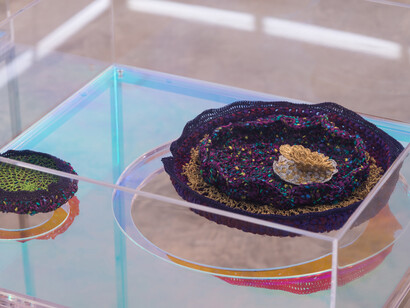 Ana Maria Tavares: Euryale Amazonica, Sicardi Gallery installation view, October 30 - December 20, 2014. Photography by Logan Sebastian Beck.