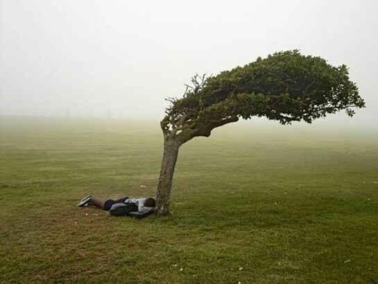 Pieter Hugo, From the series Kin, Green Point Common, Cape Town, 2013, Digital C-Print © Pieter Hugo, Courtesy Yossi Milo Gallery, New York