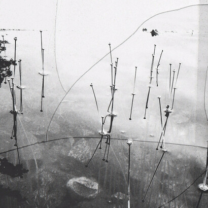 Augusta Wood. Courtesy of Denk gallery