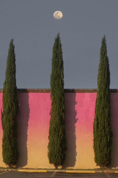 Jacob Mitchell, Pink lemonade (detail), 2020. Courtesy of Ogden Museum of Southern Art