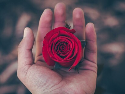 A rosa é um símbolo paradoxal de pureza e paixão