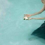 Rosanne Olson, Release, 2010, Archival pigment