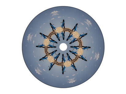 Sama Alshaibi, Mā Ijtamaʿt Aydīnā ʿalā Qabḍah illā wa Kānat Muʿaṭṭalah, 2014, Diasec print, 120 cm. in diameter, Edition of 3 + 1AP
