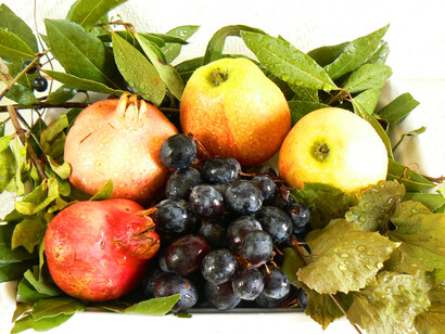 Uva nera, cesto autunnale