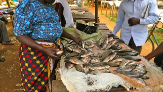 Streetfood in Kenya